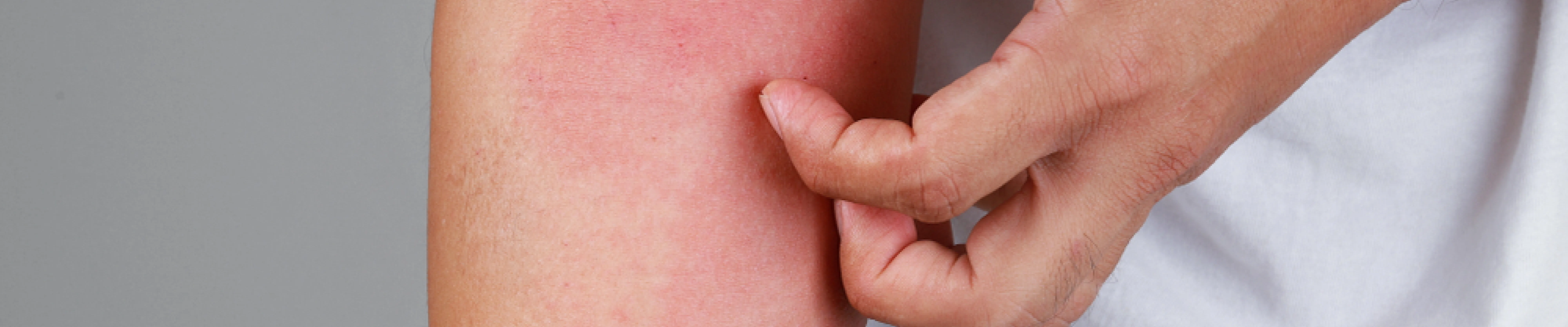 carpet cleaning in NJ, carpet cleaner in NJ, carpet cleaners in NJ, carpet cleaners in NJ, drapery cleaners in NJ, carpet cleaning in NJ, mattress cleaning in NJ, mattress cleaners in NJ, commercial carpet cleaning, commercial carpet cleaners in NJ, NJ rug cleaners, rug cleaning services in NJ same day carpet cleaning, same day rug cleaning