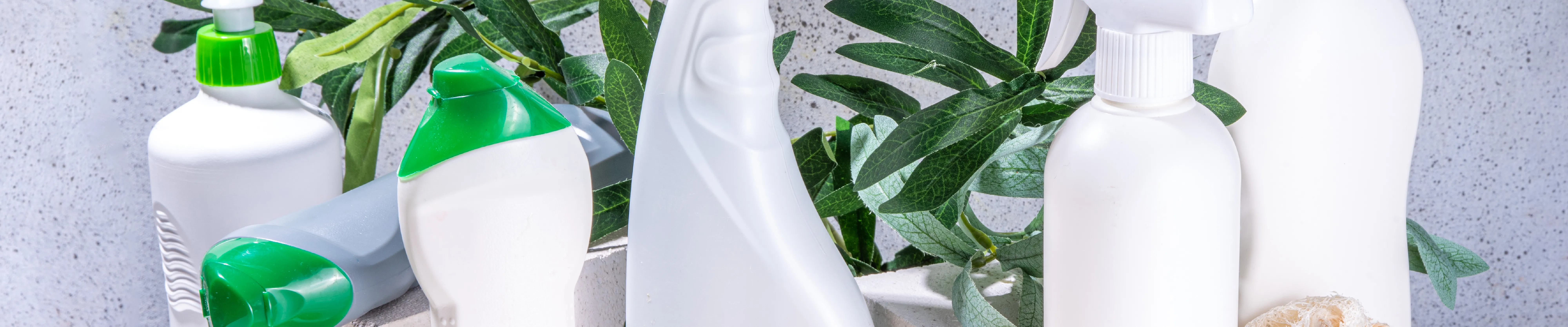 carpet cleaning in NJ, carpet cleaner in NJ, carpet cleaners in NJ, carpet cleaners in NJ, drapery cleaners in NJ, carpet cleaning in NJ, mattress cleaning in NJ, mattress cleaners in NJ, commercial carpet cleaning, commercial carpet cleaners in NJ, NJ rug cleaners, rug cleaning services in NJ same day carpet cleaning, same day rug cleaning