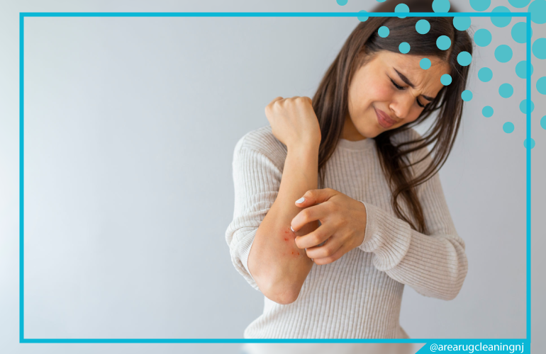 carpet cleaning in NJ, carpet cleaner in NJ, carpet cleaners in NJ, carpet cleaners in NJ, drapery cleaners in NJ, carpet cleaning in NJ, mattress cleaning in NJ, mattress cleaners in NJ, commercial carpet cleaning, commercial carpet cleaners in NJ, NJ rug cleaners, rug cleaning services in NJ same day carpet cleaning, same day rug cleaning