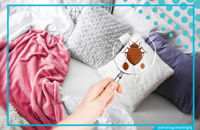 carpet cleaning in NJ, carpet cleaner in NJ, carpet cleaners in NJ, carpet cleaners in NJ, drapery cleaners in NJ, carpet cleaning in NJ, mattress cleaning in NJ, mattress cleaners in NJ, commercial carpet cleaning, commercial carpet cleaners in NJ, NJ rug cleaners, rug cleaning services in NJ same day carpet cleaning, same day rug cleaning