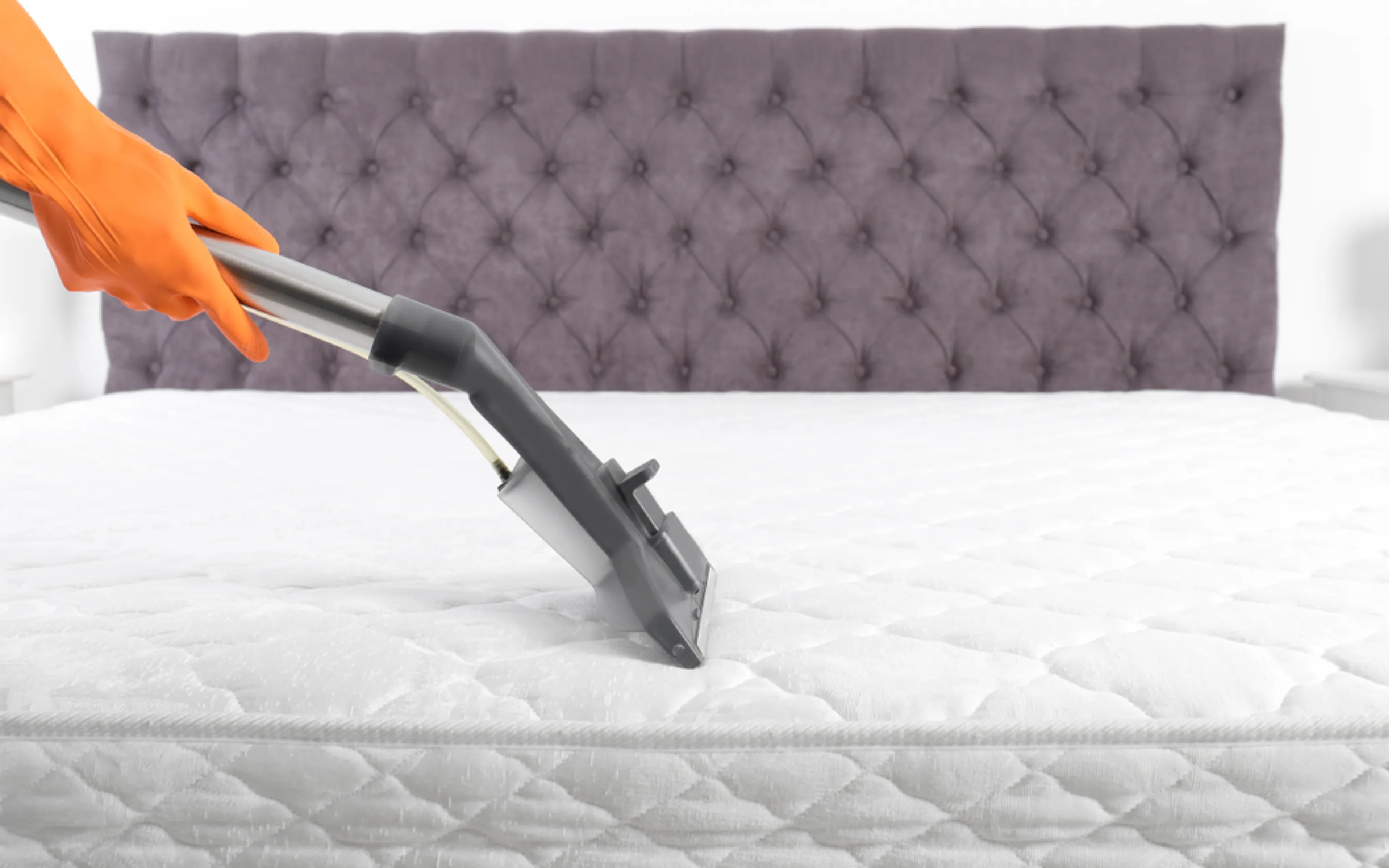 carpet cleaning in NJ, carpet cleaner in NJ, carpet cleaners in NJ, carpet cleaners in NJ, drapery cleaners in NJ, carpet cleaning in NJ, mattress cleaning in NJ, mattress cleaners in NJ, commercial carpet cleaning, commercial carpet cleaners in NJ, NJ rug cleaners, rug cleaning services in NJ same day carpet cleaning, same day rug cleaning